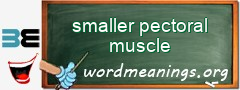 WordMeaning blackboard for smaller pectoral muscle